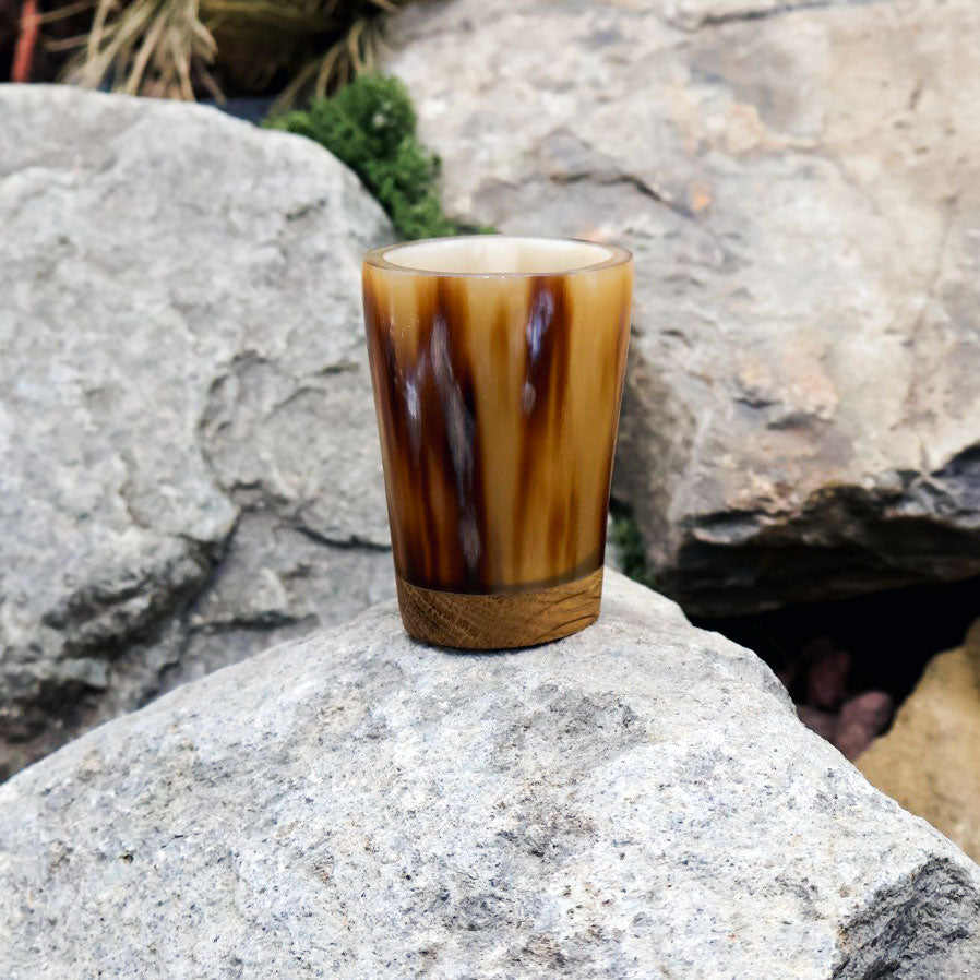 Horn Shot Glasses