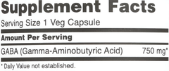 NOW Foods GABA (ácido gamma-aminobutírico) 750 mg, soporte para neurotransmisores, 100 cápsulas CR Suplementos Costa Rica