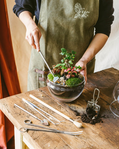 kit outil plantes