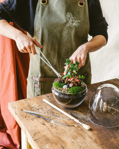 Consigli utili per la cura del Terrarium: troppa umidità? - Flor Maison