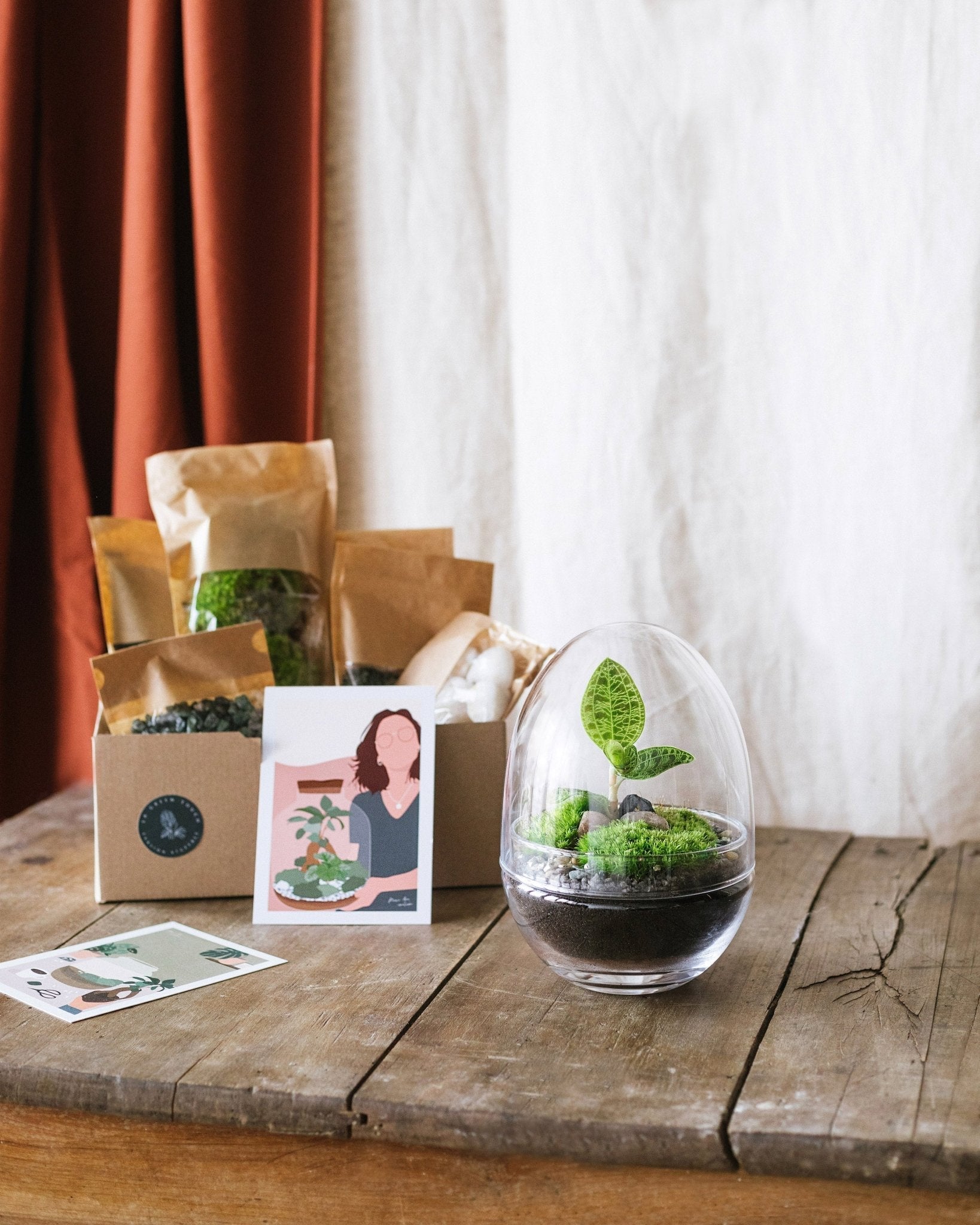 Kit terrarium diy - noumea