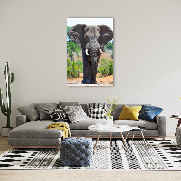 Elephant Print: 19 – Canvas & More