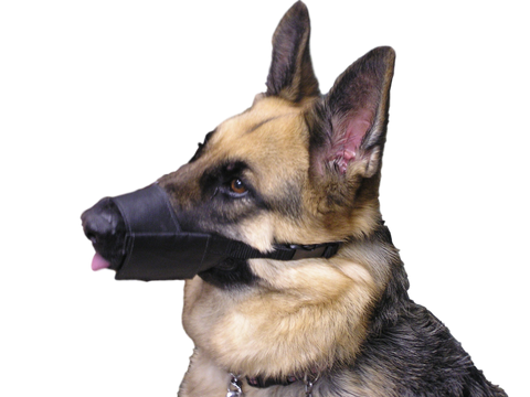 dog c-muzzle