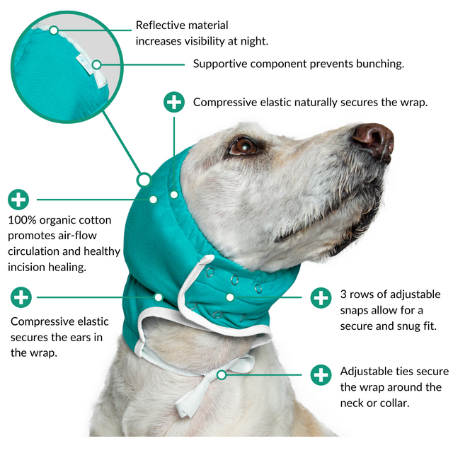 how to treat aural hematoma in dogs