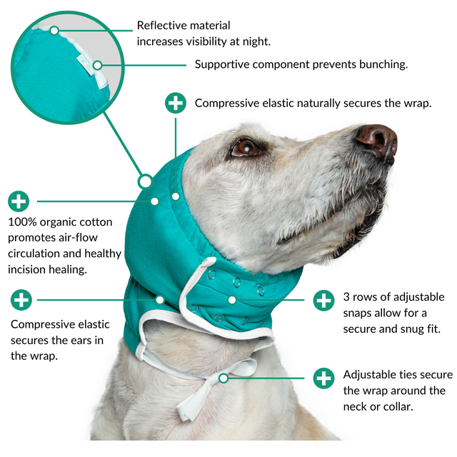 cold compress for dog ear hematoma