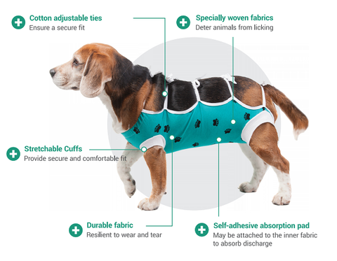 E-Collar Alternative: After Surgery Wear