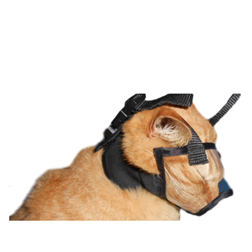 Cat Muzzle for Brushing Teeth or Dental 