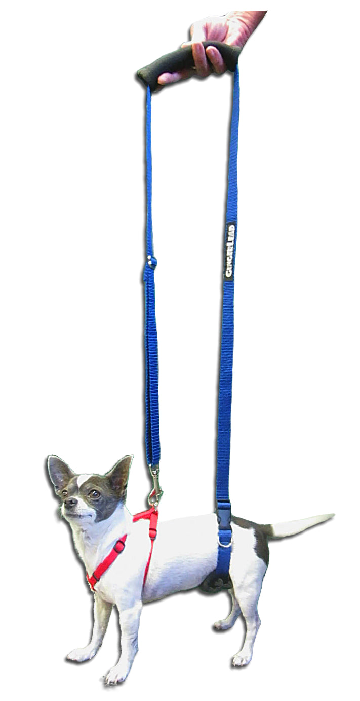 rehabilitation harness for dogs