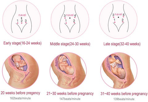 Our premium Taiji™ Baby Fetal Doppler uses the latest technology in baby heart monitoring. This amazing device allows any soon-to-be mom or health care professional to hear their baby's heartbeat with ease and clarity. The back-lit LCD display shows the baby's heartbeat making it even easier to detect, and an audible sound is heard in real-time from the high-quality built-in speaker.