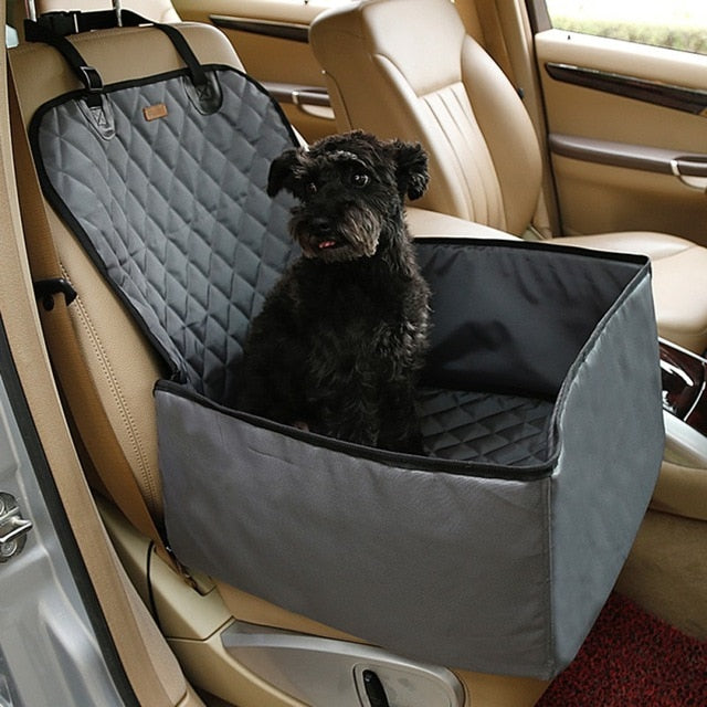 dog car accessories