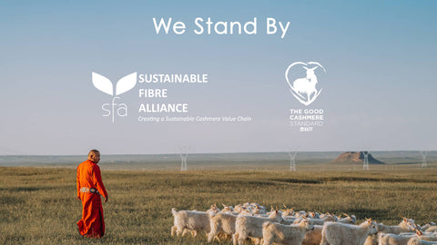 Sustainable Cashmere