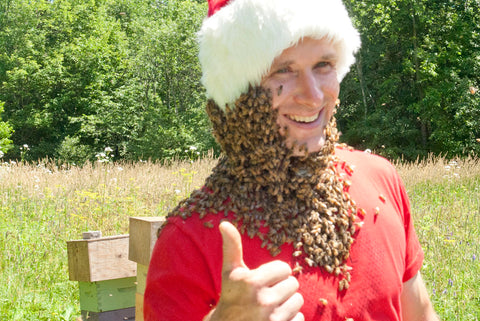 Barbe d’abeilles Miel de la Garde
