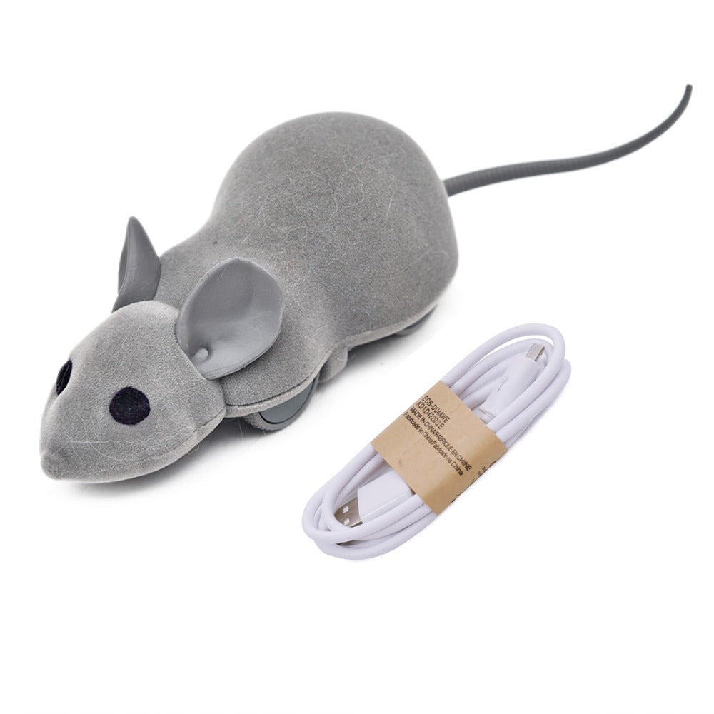 mouse hunt cat toy app