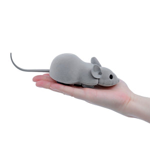 app controlled mouse cat toy