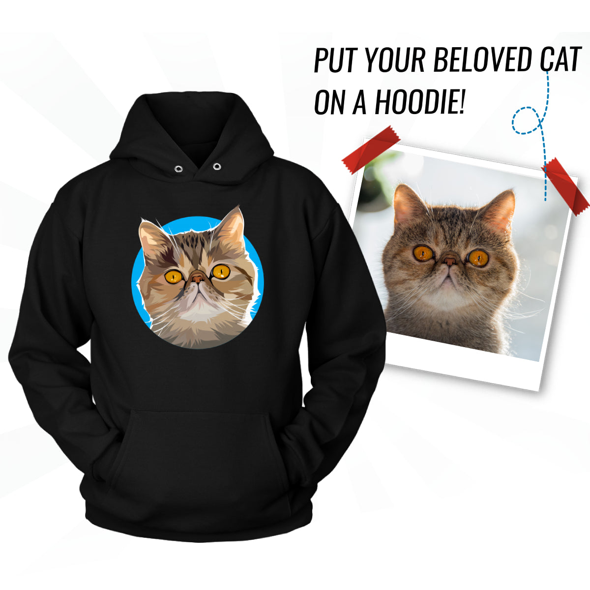 hoodie to put cat in