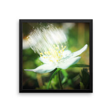 Load image into Gallery viewer, Framed poster featuring a flower with shower effect - Omtheo Gifts
