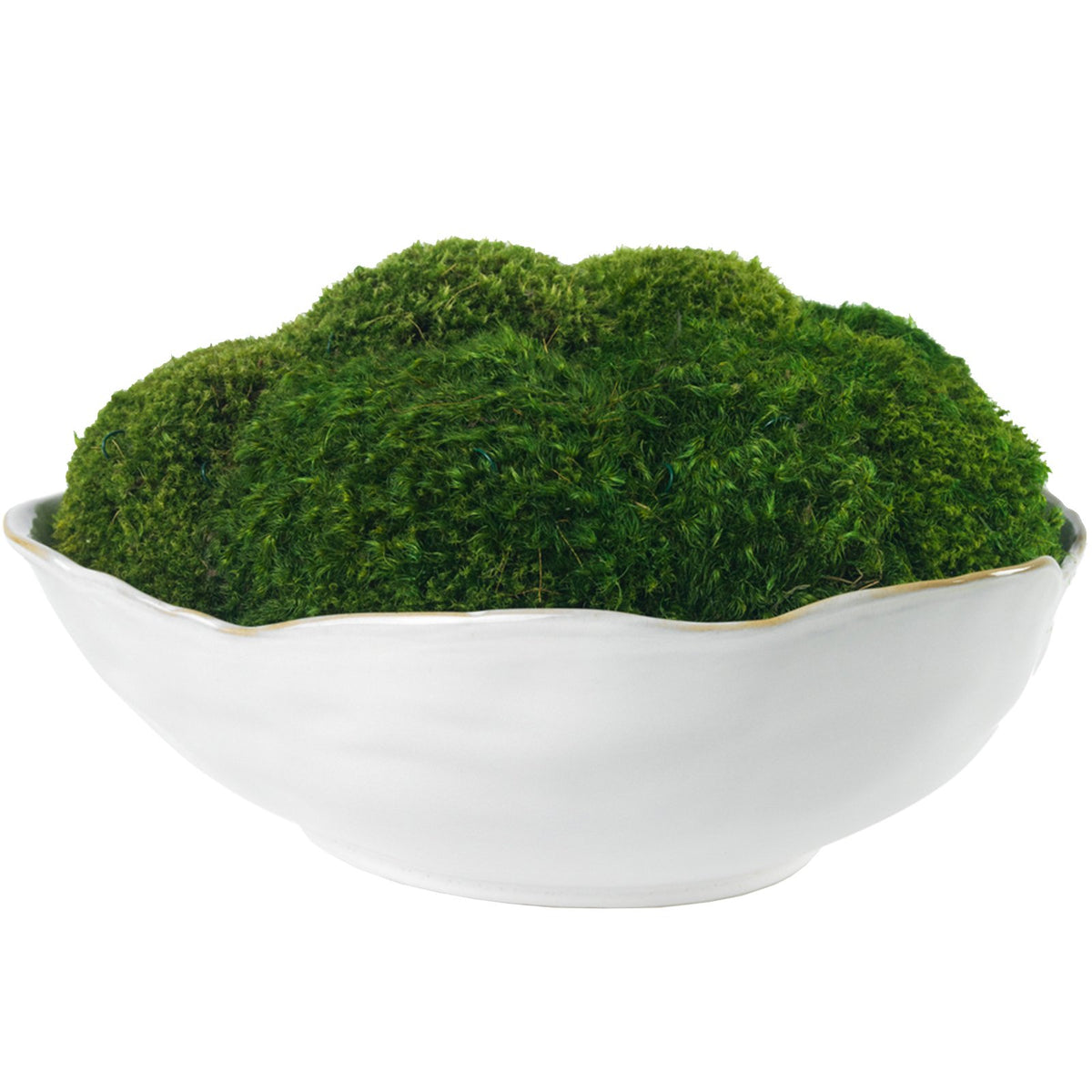 Mood Moss Potter's Bowl