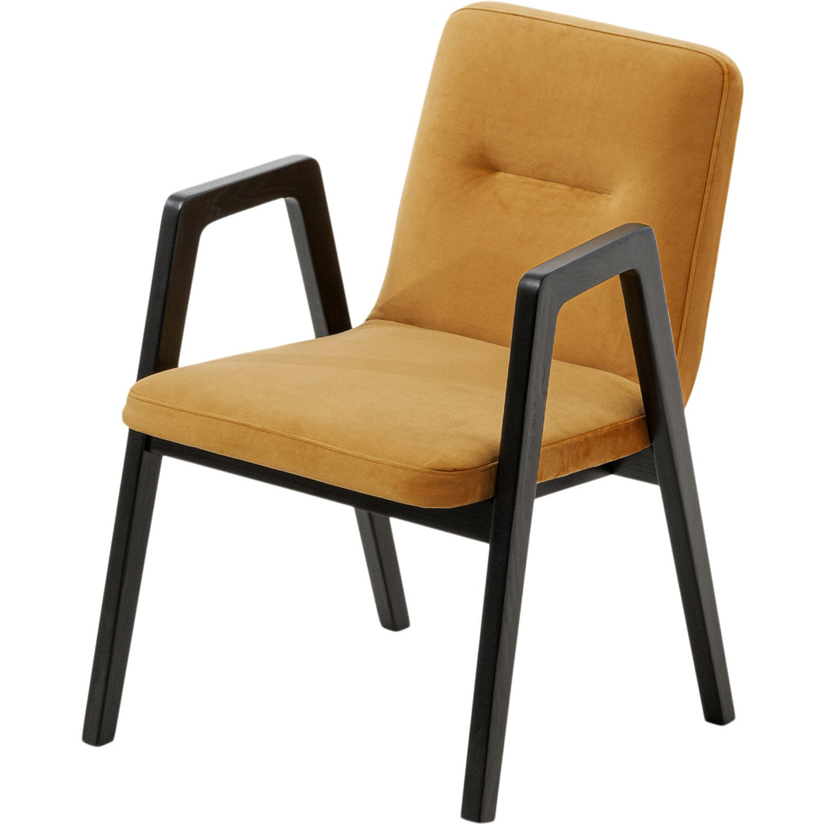 Benson Dining Chair