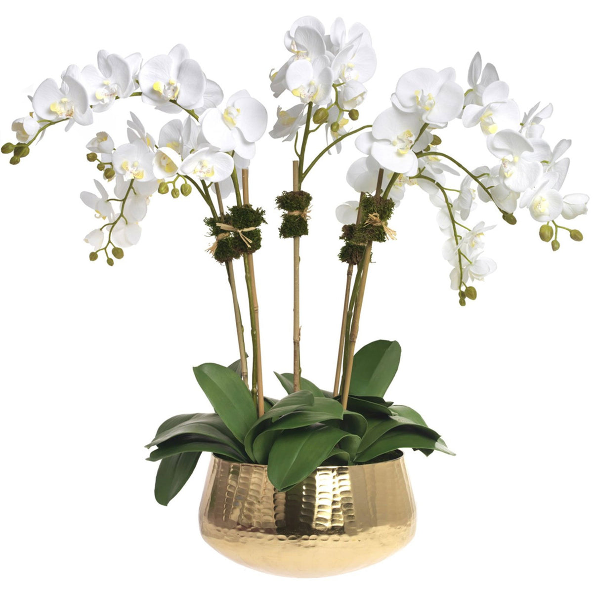 Orchid in Bowl, Gold