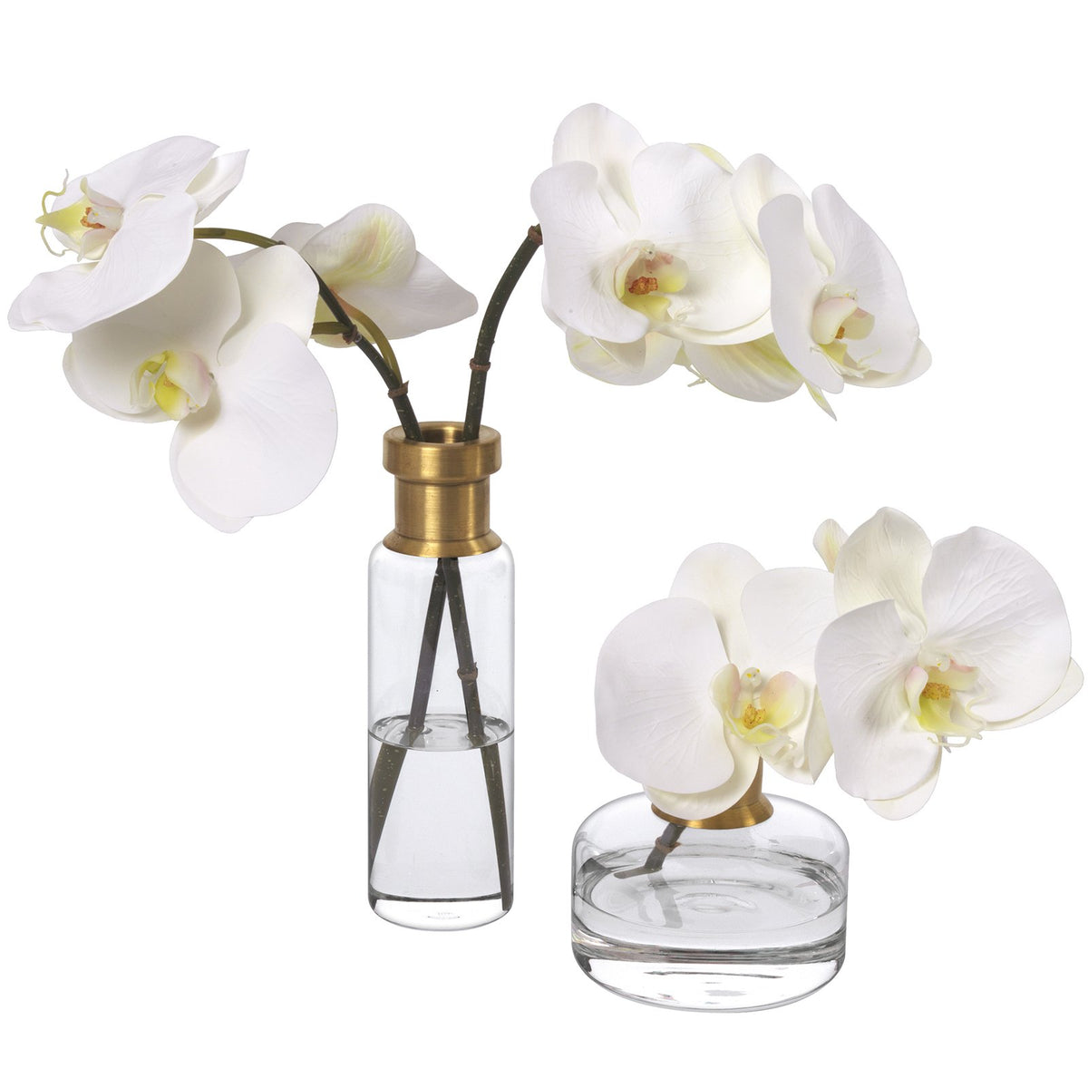 Orchids, Set of 2