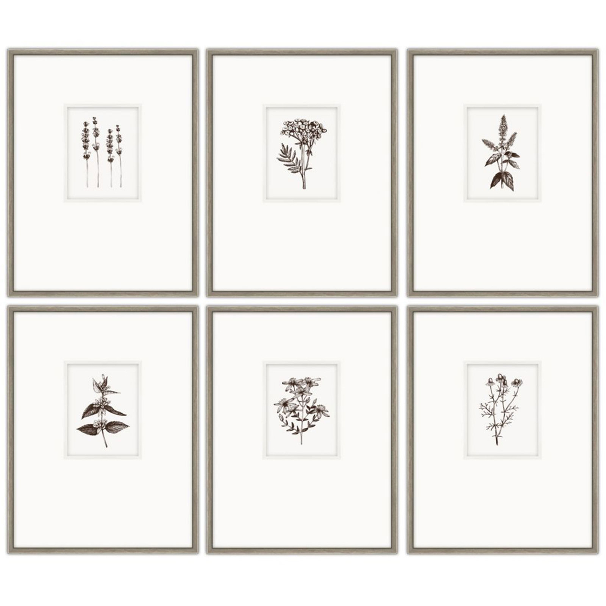 Peli Prints, Set of 6