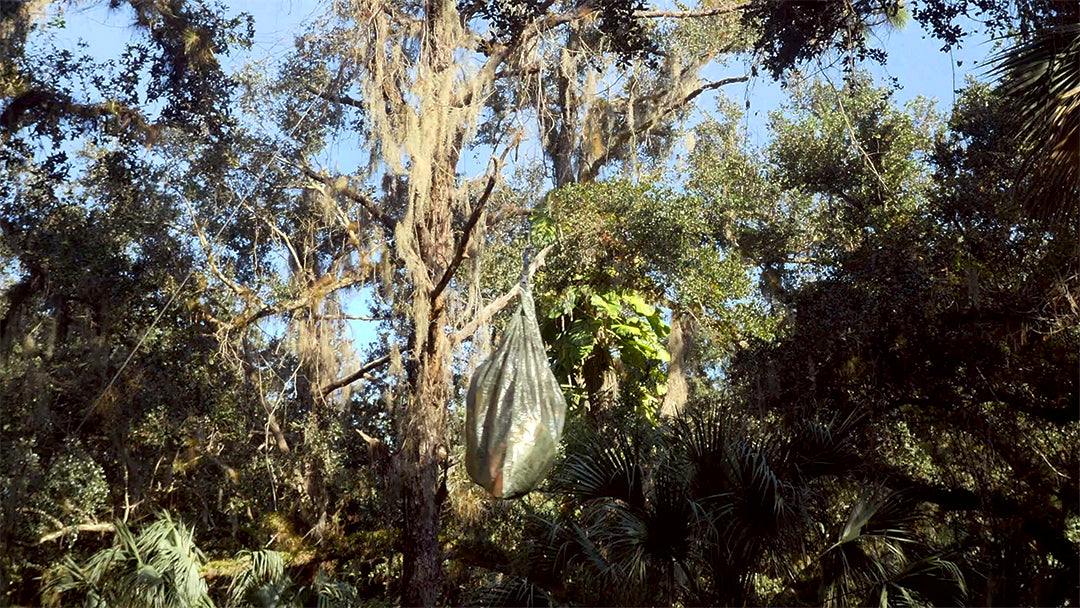 How to Hang a Bear Bag - Traditional Method