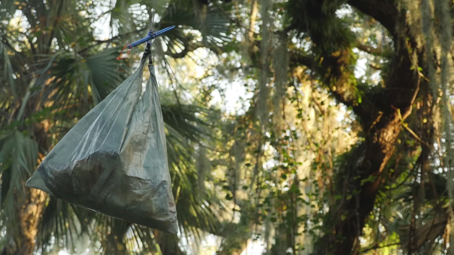 How to Hang a Bear Bag - PCT Method