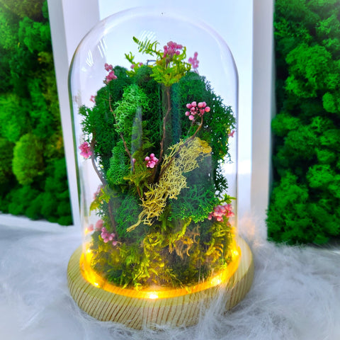 Preserved moss, preserved flower, flower in dome, flower delivery singapore
