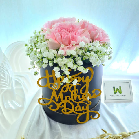 Carnation bouquet, flower box, mother day flower, flower delivery Singapore, Florist Singapore, Well Live Florist