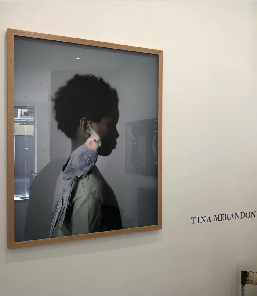 “Anima” by Tina Merandon at Galerie 127