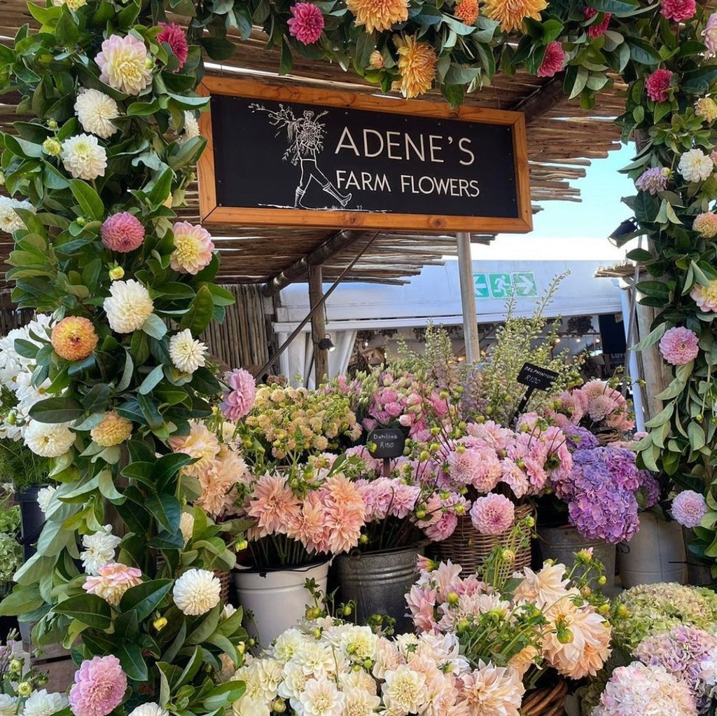 Adene’s Farm Flowers at Oranjezicht Market
