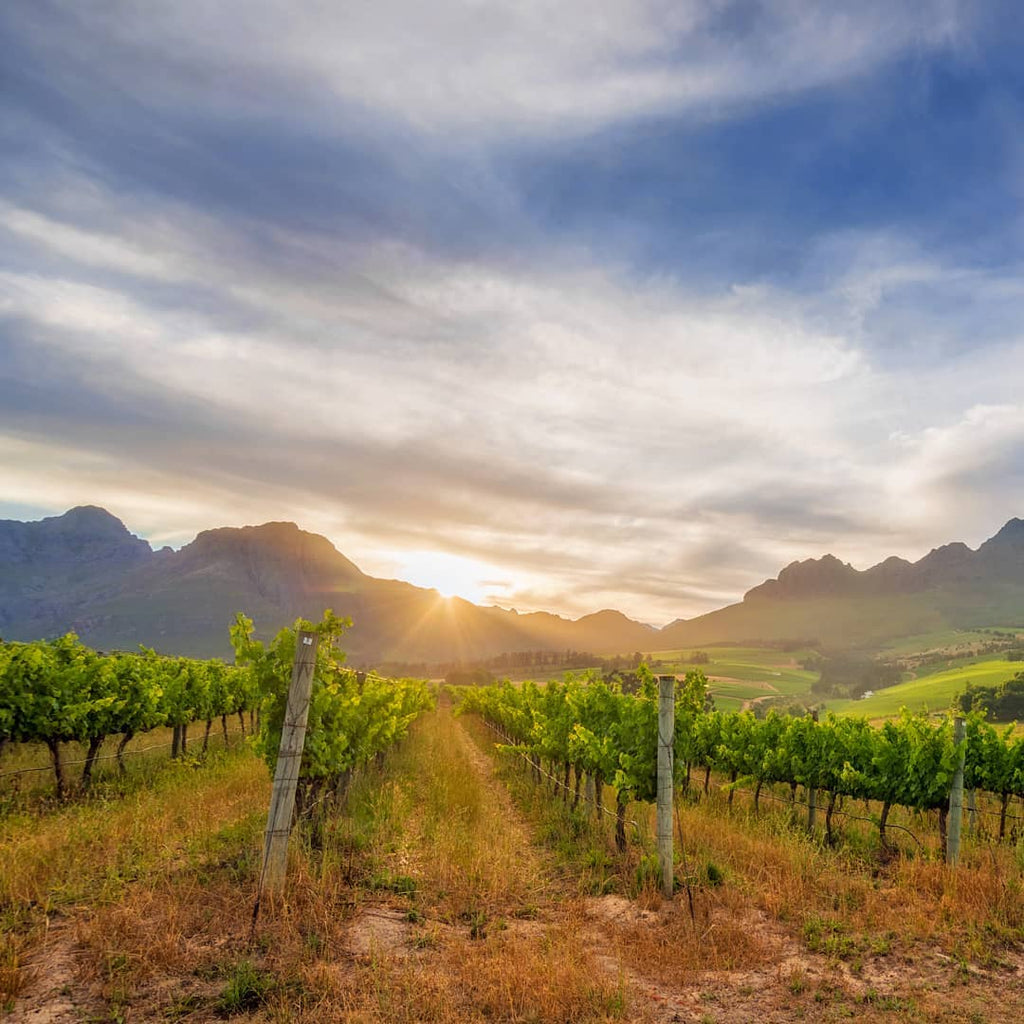 Learn about Stellenbosch, South Africa on The Folklore