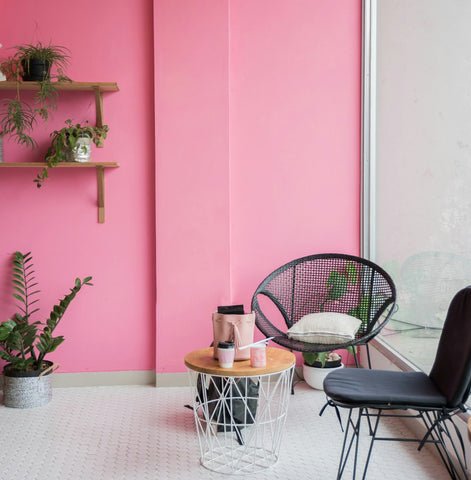 Living room, pink wall, chairs, cushions, bookshelf plants