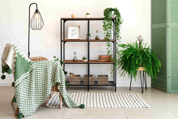 Discover the Magic of Green and Cream Colour Combination: Reasons Why it Works?
