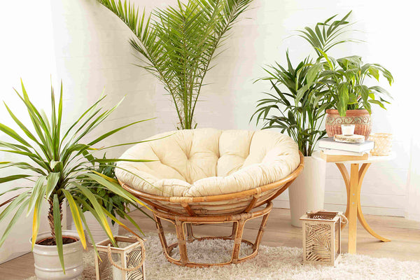 Houseplants in a Boho Living Room