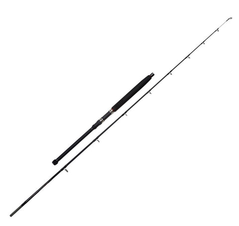 SHAKESPEARE UGLY STIK GX2 SPIN – Billy's Fishing Tackle