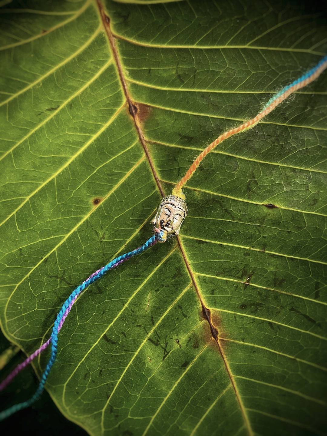 image for Simple German Silver Oxidised Buddha On Multicolored Thread Rakhi For Raksha Bandhan