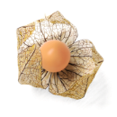 VIBE Ingredient: Physalis | waterdrop®