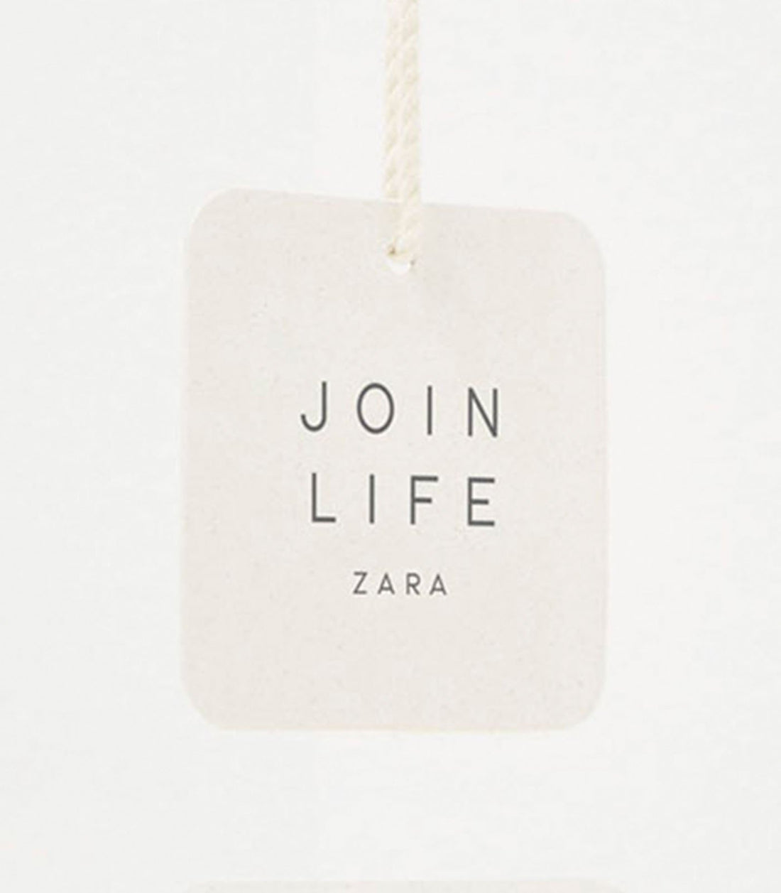 Zara se a H&M en sus primeros pasos hacia la moda sostenible. – ES Fascinante