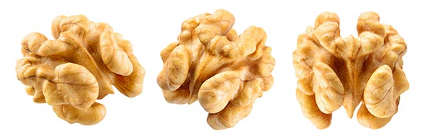 3 shelled walnuts