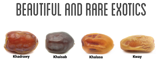 Organic Dates-Exotic Dates-Khadrawy Date Fruit-Khaisab Date Fruit-Khalasa Date Fruit-Kway Date Fruit-Fresh Dates