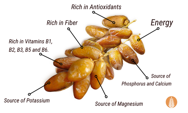 Medjool, Deglet Noor, Medjool Dates, Deglet Noor Dates, Medjool Date Fruit, Deglet Noor Date Fruit, Fresh Dates, Organic Dates, Organic Date Fruit