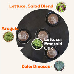 Seedsheet Custom Salad