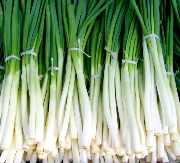 green onion storing