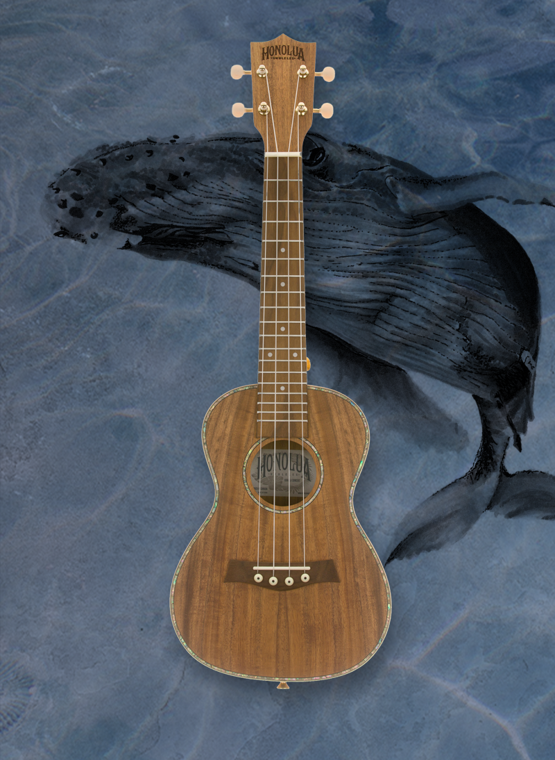 Kohala Deluxe Series acacia ukulele