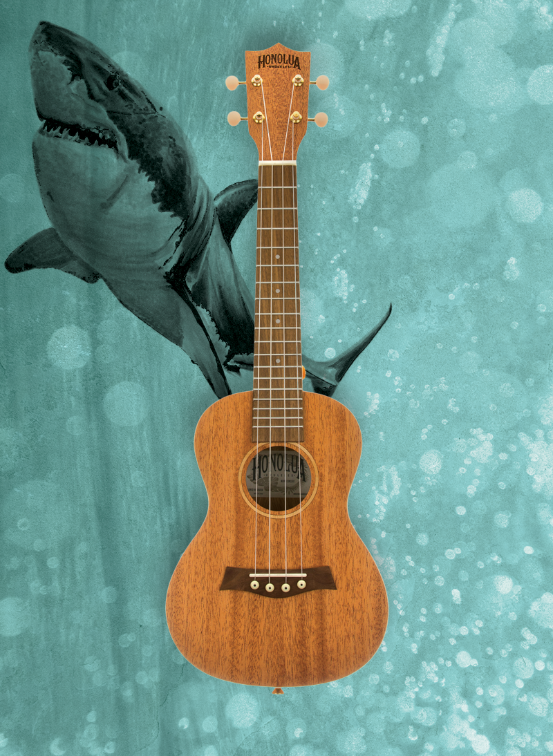Mano Series solid top ukulele