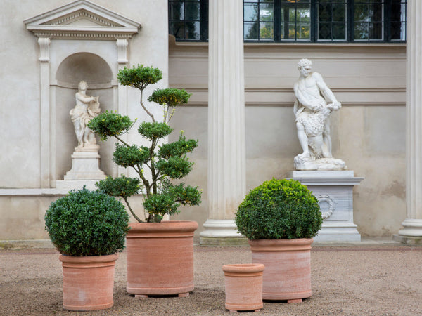 large plant pots outside stately home