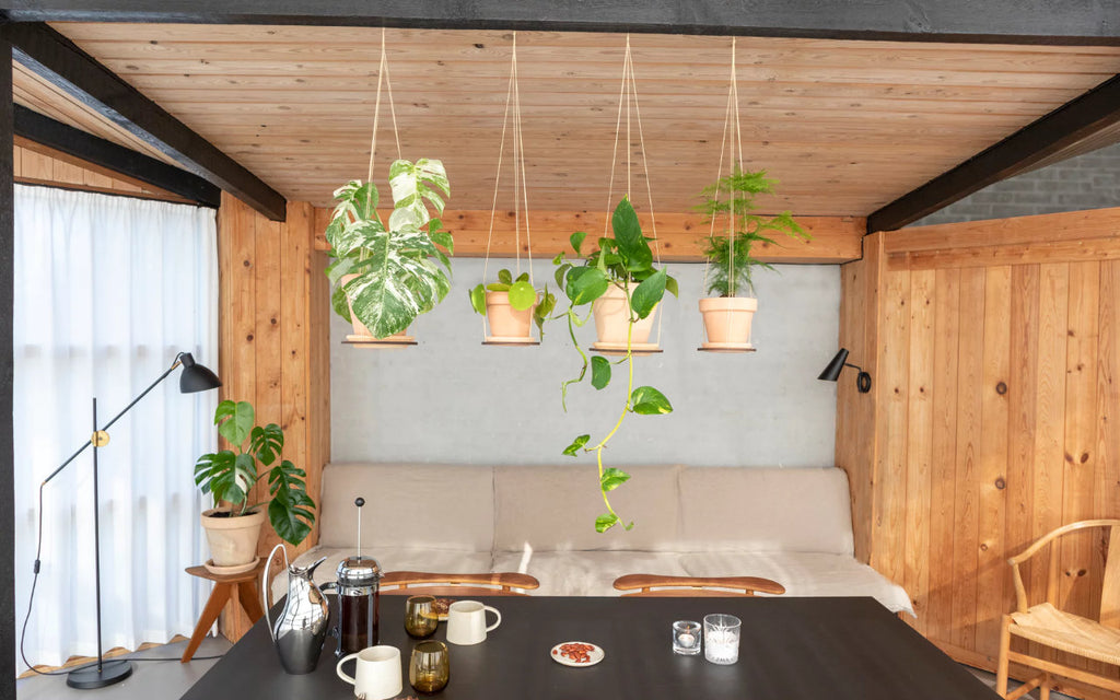 leerbaek hanging plant pot