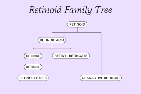 Retinoid family tree graphic