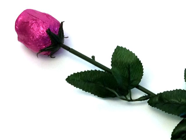 Chocolate Rose - Hot Pink